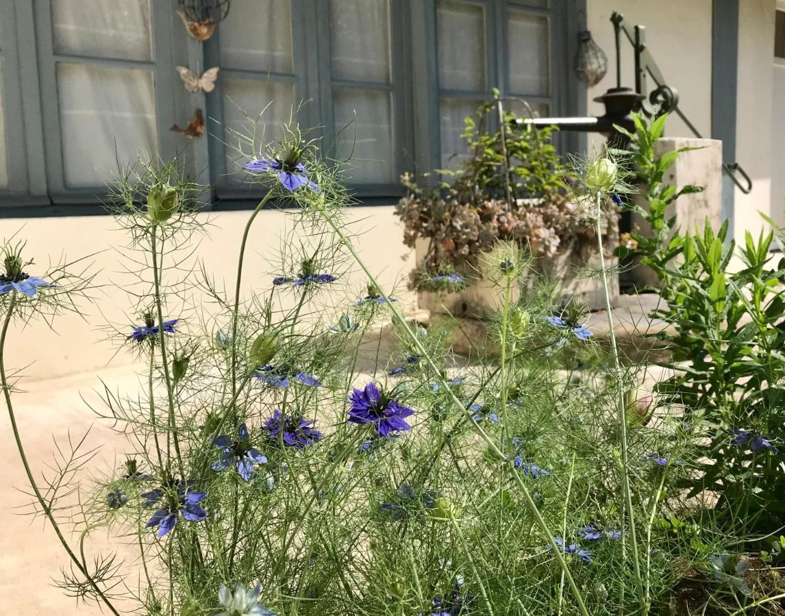 Le Gite De L'Atelier Bergerac Exterior photo
